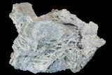 Fibrous, Blue Chalcedony Formation - India #178447-2
